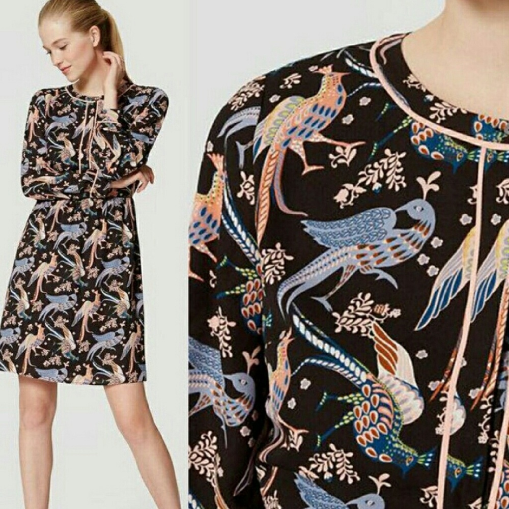 Ann Taylor Loft  long sleeve dress NWT